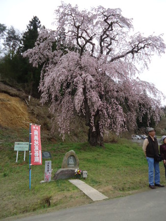 DSC08938