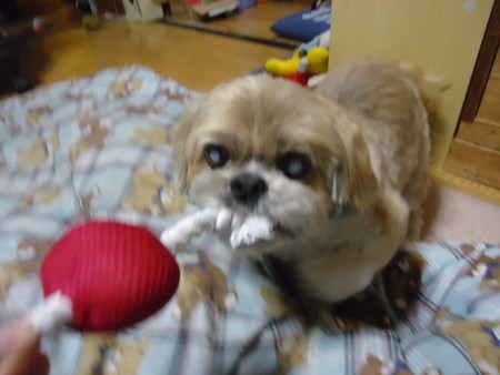 DSC09009