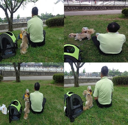 四街道総合公園2