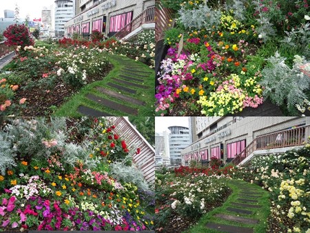 薔薇苑