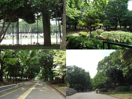 駒沢公園