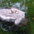 Photos: 150524_1327~0001