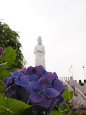 P6157914