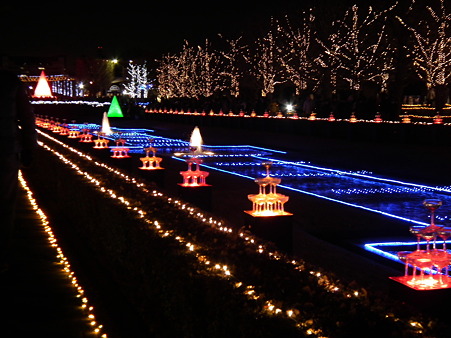 昭和記念公園 シャンパングラスツリー 昭和記念公園