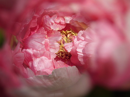 DSCF0120