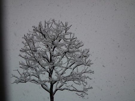 DSCF0008