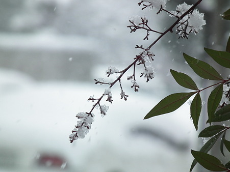 DSCF0044
