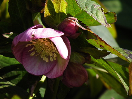 DSCF0020