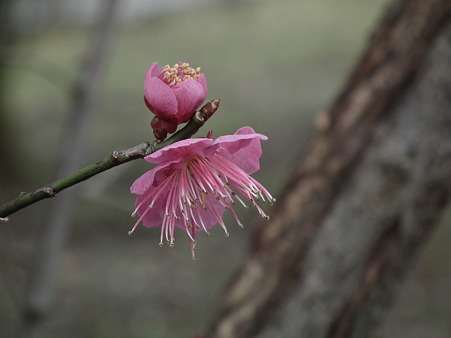 DSCF0089
