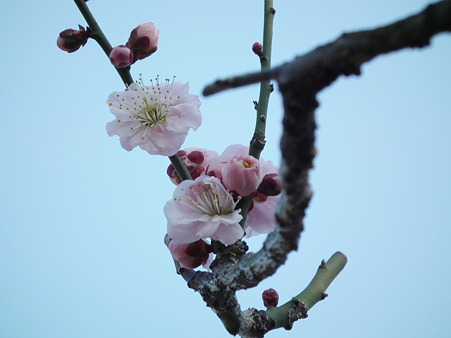 DSCF0622