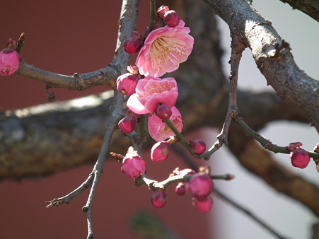 DSCF0027