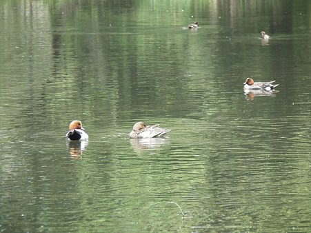 DSCF0065