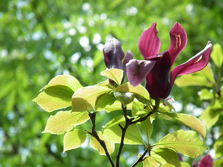 DSCF0118