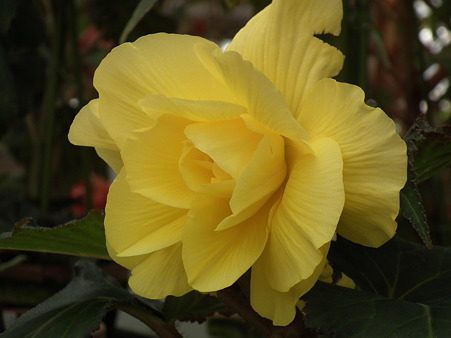 DSCF0435