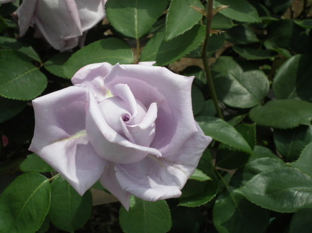 DSCF0046