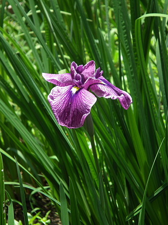 DSCF0047