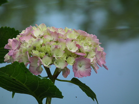 DSCF0565