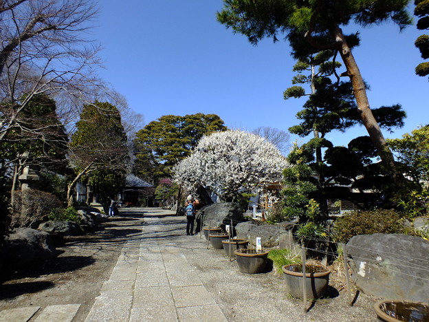 DSCF0125