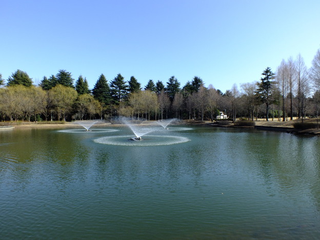 DSCF0238