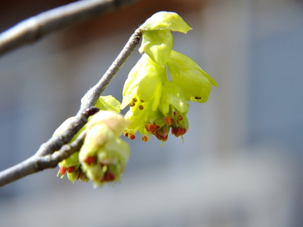 DSCF0090