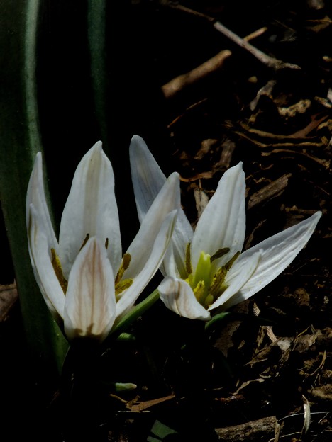 DSCF0145