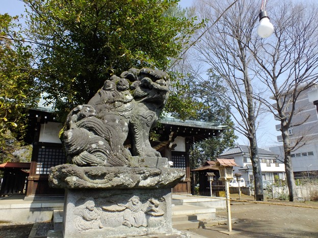 DSCF0051