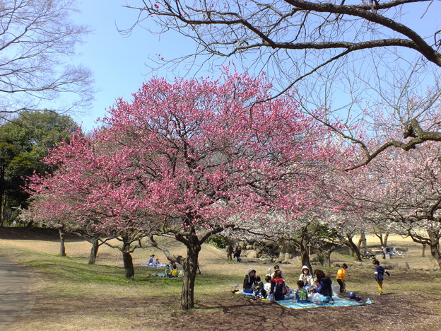 DSCF0172