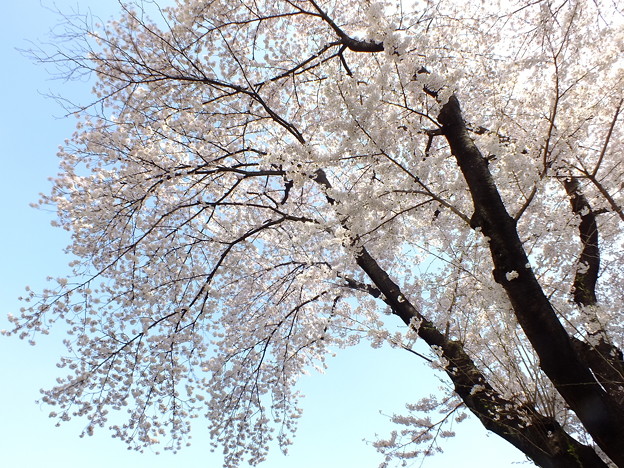 DSCF0039