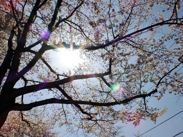 DSCF0172