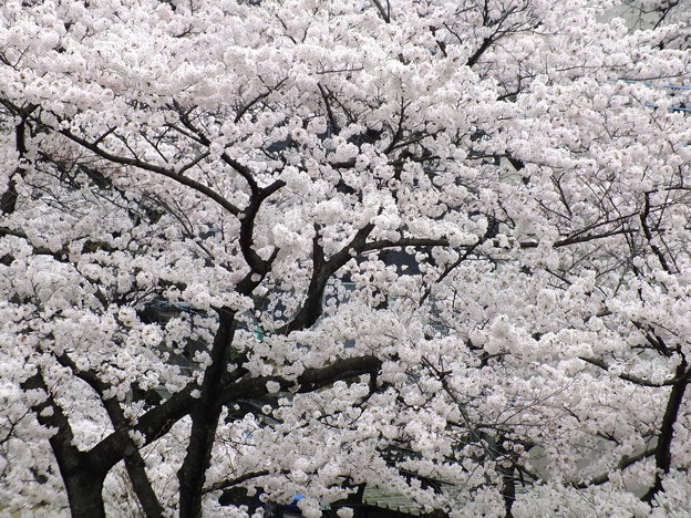 DSCF0013