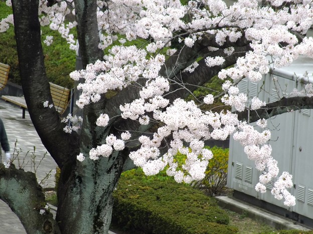DSCF0015