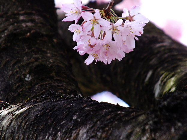 DSCF0274