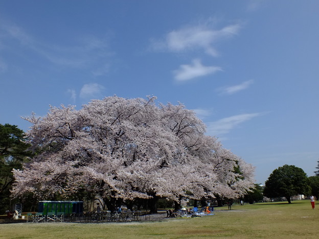 DSCF0018