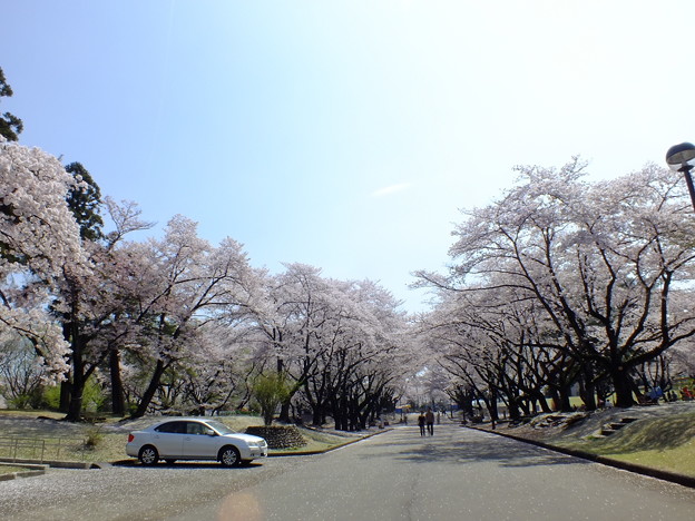 DSCF0137