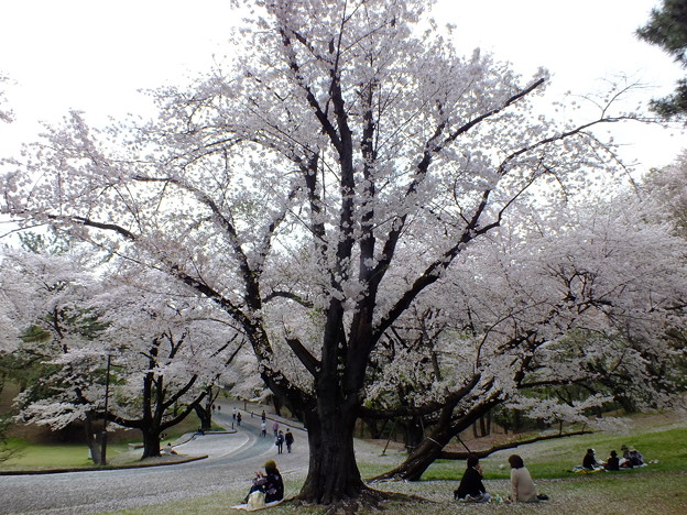 DSCF0176