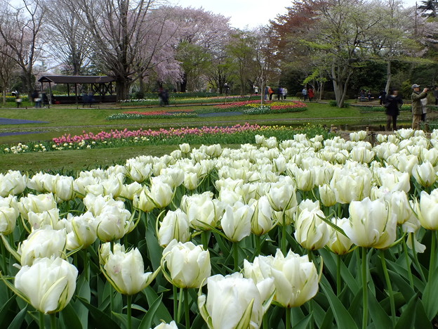 DSCF0220