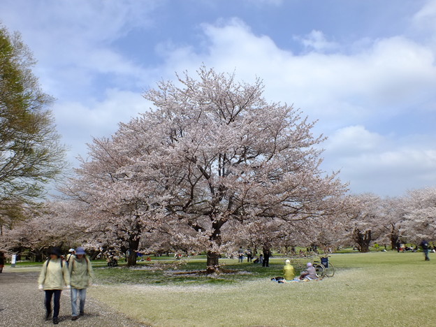 DSCF0319