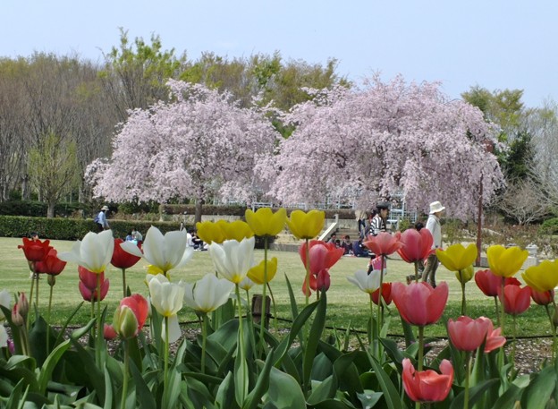 DSCF0090