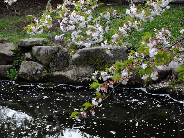 DSCF0577