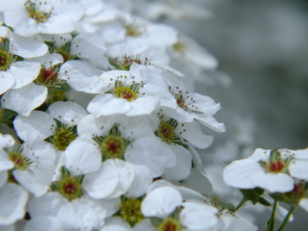 DSCF0048