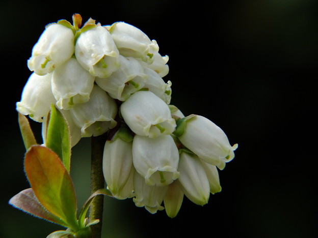 DSCF0418
