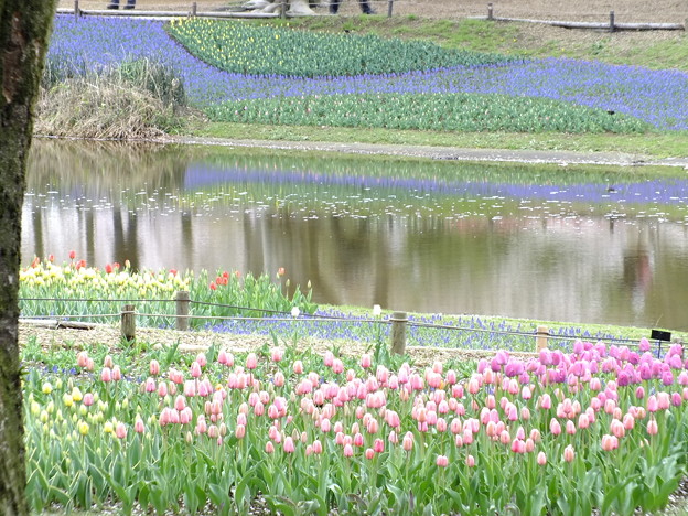 DSCF0367