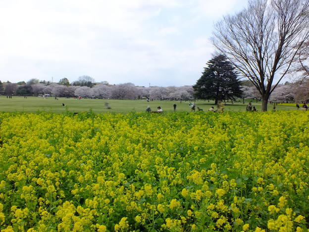 DSCF0473