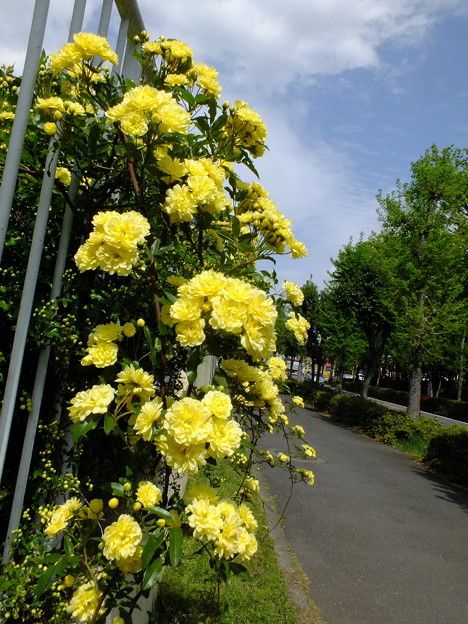 DSCF0401