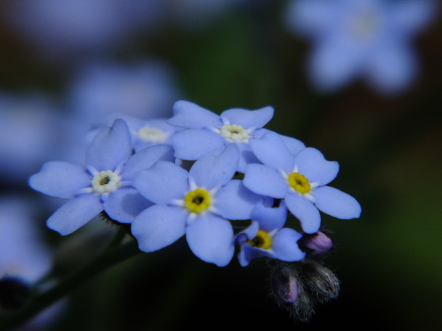 DSCF0170