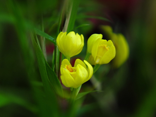 DSCF0067