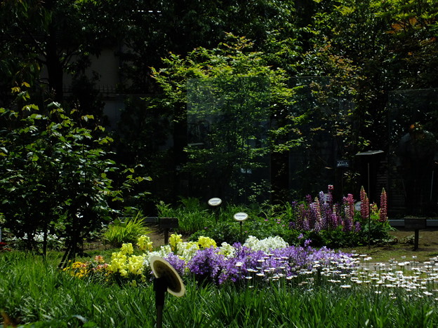 DSCF0020