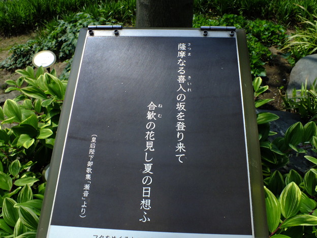 DSCF0029