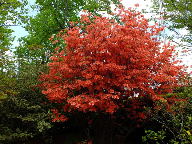 DSCF0156