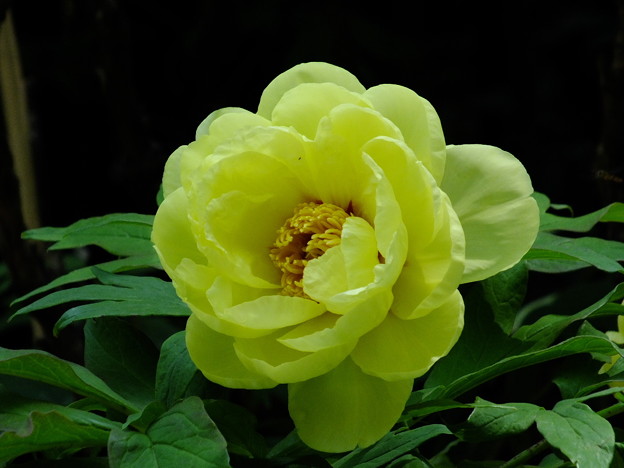 DSCF0070